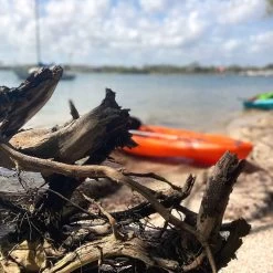 Pelican Sport Pulse 100X With Paddle Kayak -Pelican Sport Store KOS10P102 00 LS4